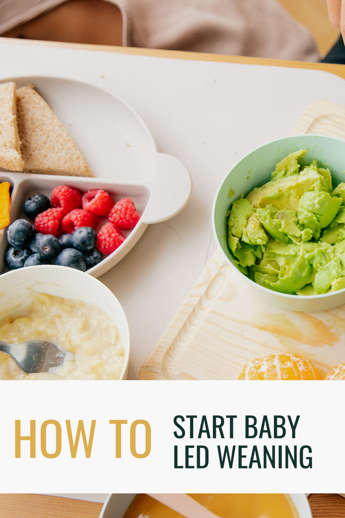 How to start Solids - Baby- led weaning